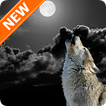 Wolf Wallpapers