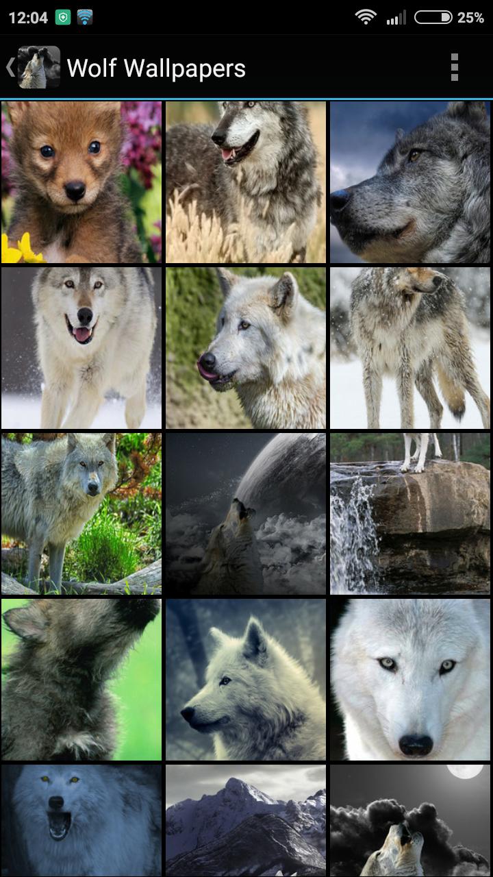 Fondos de Pantalla Lobos APK pour Android Télécharger Fondos de Pantalla Lobos APK pour Android Télécharger