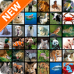 Animal Wallpapers HD