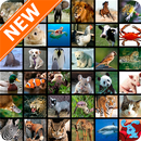 Fondos de Pantalla Animales HD APK