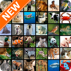 Fondos de Pantalla Animales HD icône