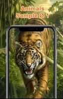 Fondos de Pantalla Animales HD capture d'écran 1