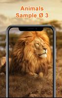 Fondos de Pantalla Animales HD capture d'écran 3