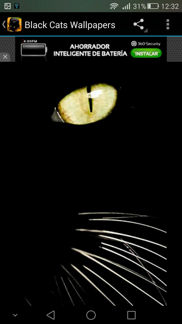 Fondos Pantalla Gatos Negros APK للاندرويد تنزيل Fondos Pantalla Gatos Negros APK للاندرويد تنزيل