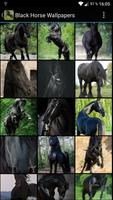 Fondos Pantalla Caballo Negro Cartaz