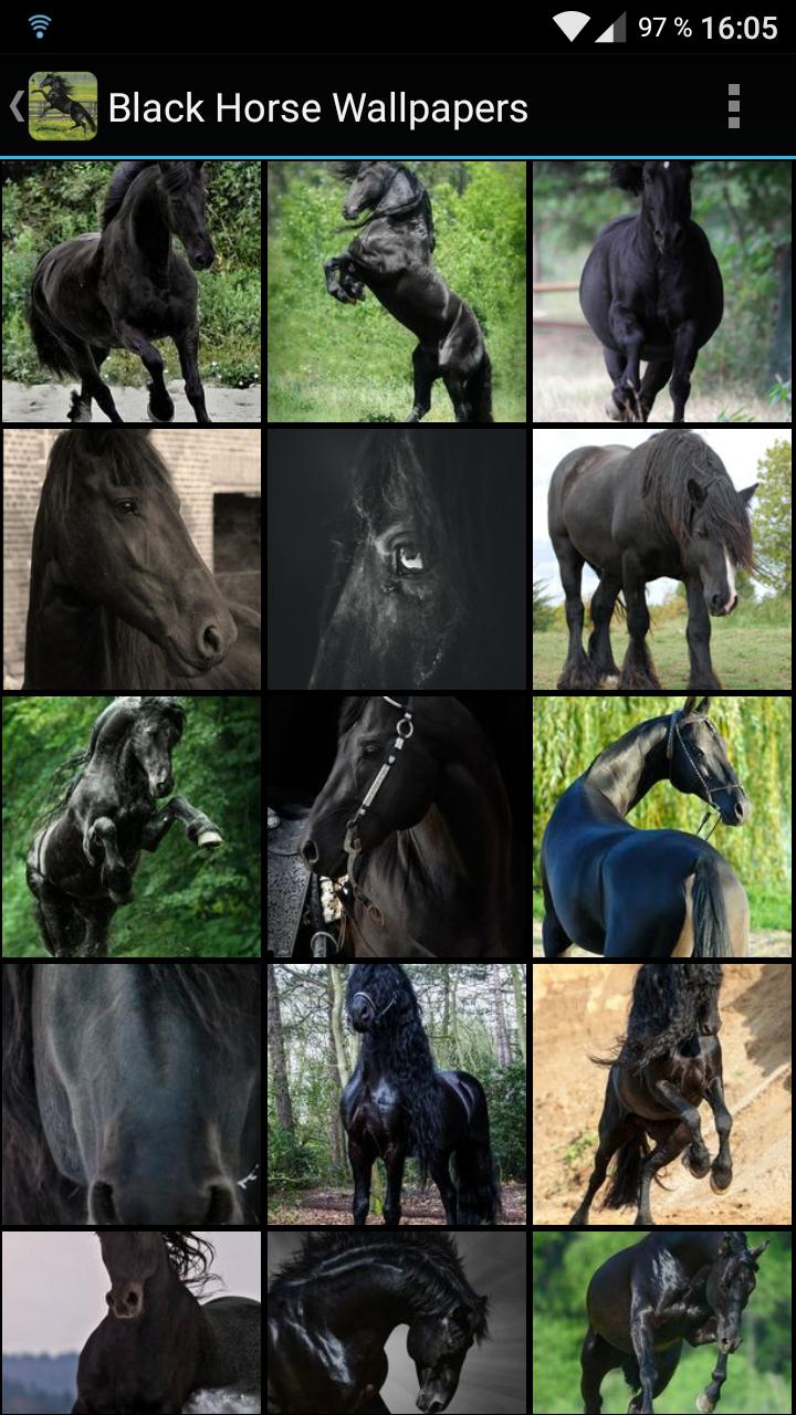 Android İndirme için Fondos Pantalla Caballo Negro APK Android İndirme için Fondos Pantalla Caballo Negro APK