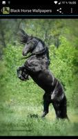 Fondos Pantalla Caballo Negro imagem de tela 1