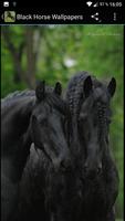 Fondos Pantalla Caballo Negro imagem de tela 3