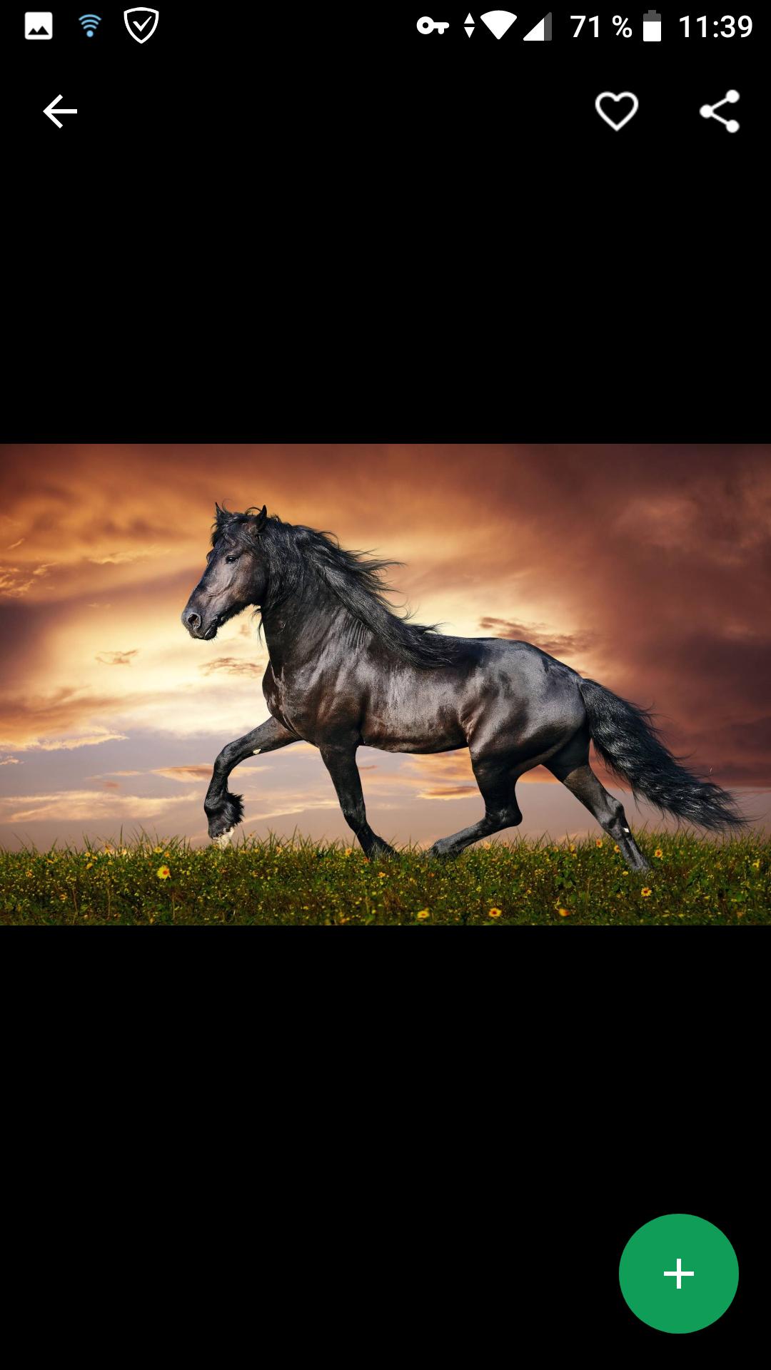 Tải xuống APK Fondos de Pantalla Caballo Negro HD cho Android Tải xuống APK Fondos de Pantalla Caballo Negro HD cho Android