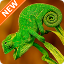 Chameleon Wallpapers HD APK