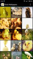 Chick Wallpapers poster