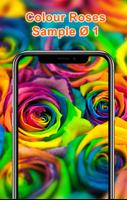 Colorful Roses Wallpapers HD 스크린샷 1