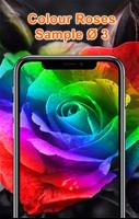 Colorful Roses Wallpapers HD 스크린샷 3