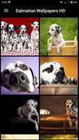 Dalmatian Wallpapers HD پوسٹر