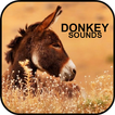 Donkey Sounds