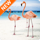 Fondos de Pantalla Flamenco HD APK