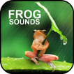 Frog Sounds