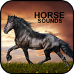 Horse Sounds