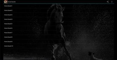 Horse Sounds screenshot 3