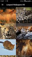 پوستر Leopard Wallpapers HD