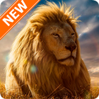 Lion Wallpapers icon