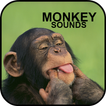 Monkey Sounds