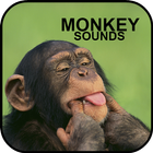 Sonidos de Mono icône