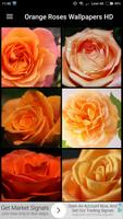 Fondos de Pantalla Rosas Naranjas HD Affiche