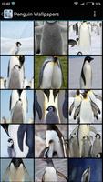 Penguin Wallpapers poster