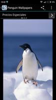 Penguin Wallpapers screenshot 2