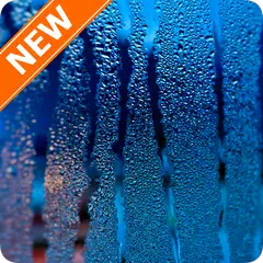 Fondos de Pantalla Lluvia