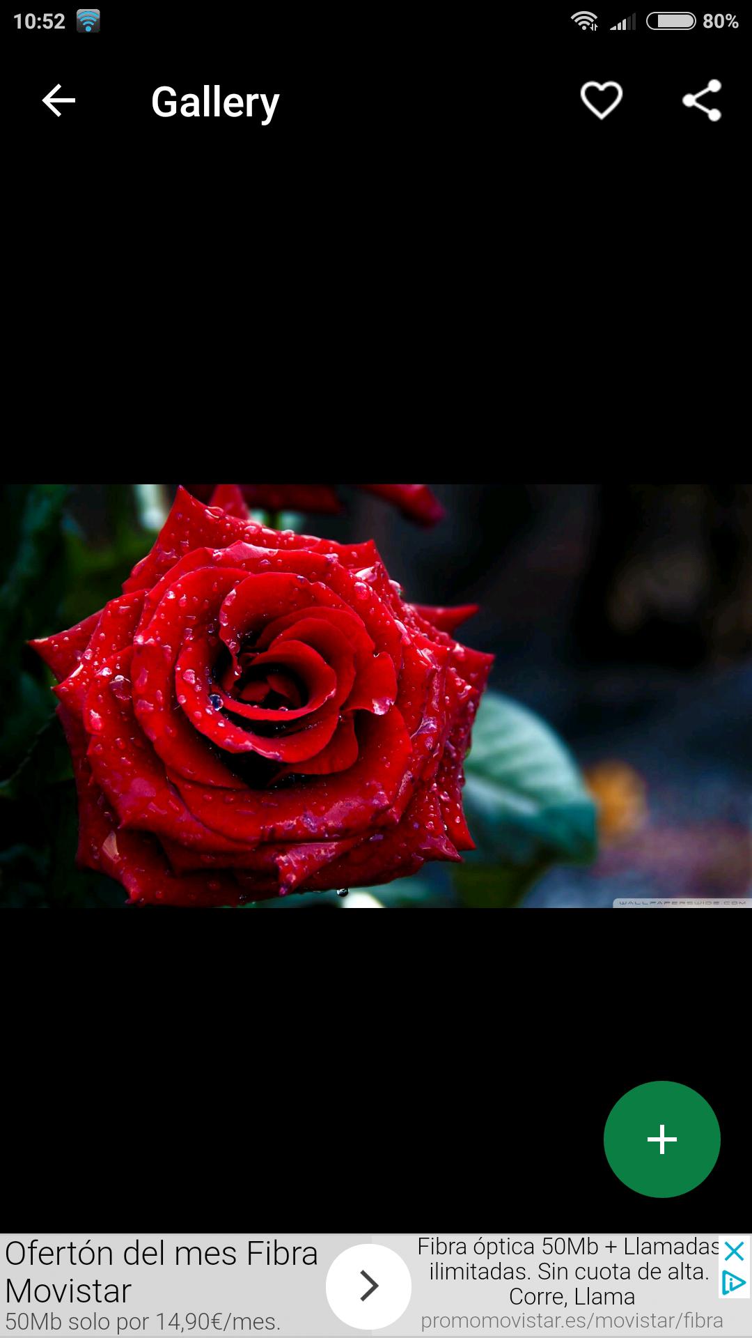 Fondos de Pantalla Rosas Rojas HD APK للاندرويد تنزيل Fondos de Pantalla Rosas Rojas HD APK للاندرويد تنزيل