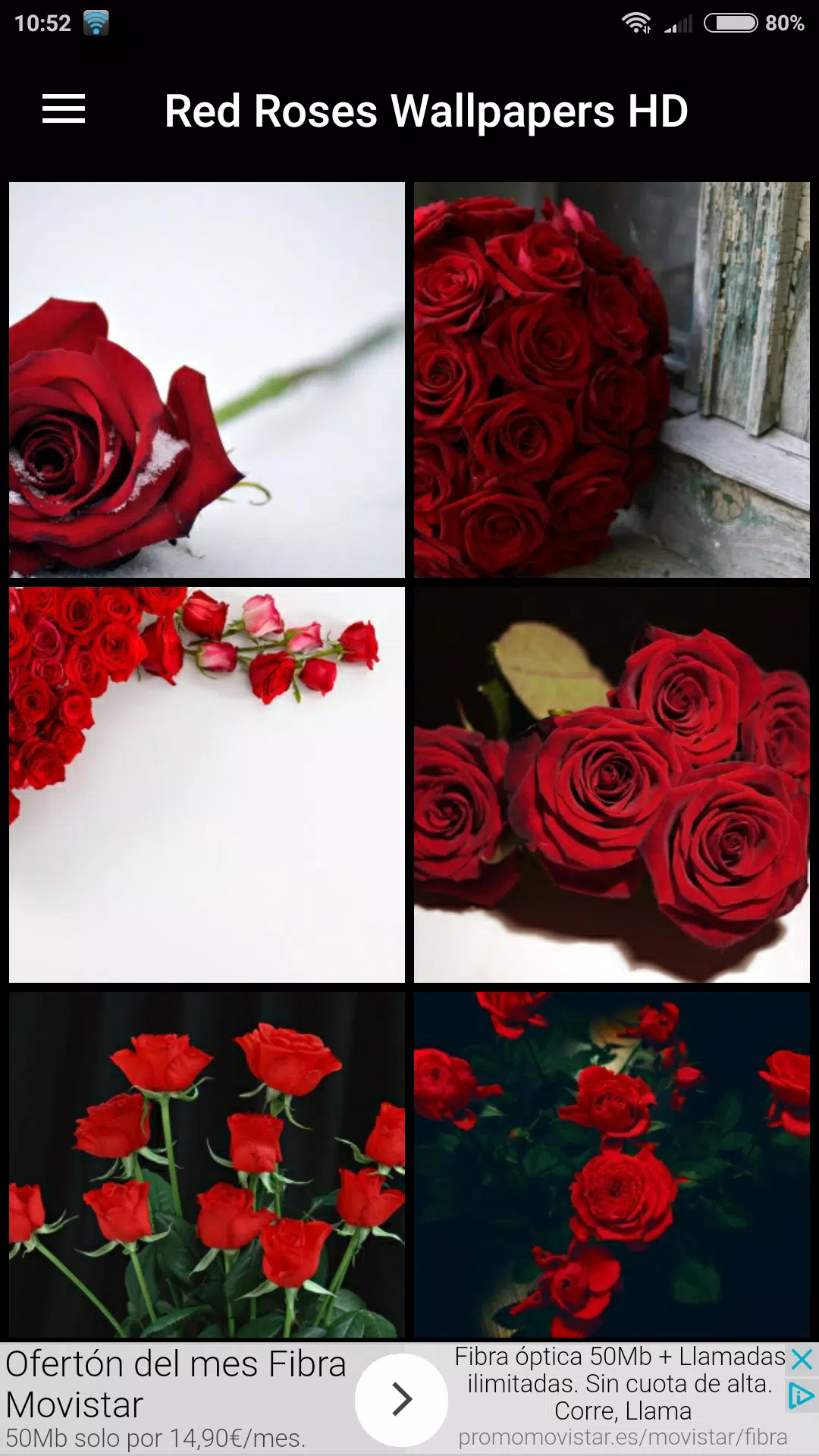 Fondos de Pantalla Rosas Rojas HD APK do pobrania na Androida Fondos de Pantalla Rosas Rojas HD APK do pobrania na Androida