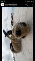 Fondos de Pantalla Foca capture d'écran 1