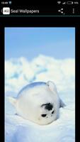 Fondos de Pantalla Foca screenshot 3