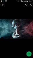 Skull Wallpapers HD ภาพหน้าจอ 1