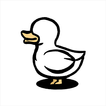 오리DUCK후