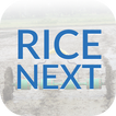 Rice Next