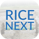 Rice Next APK
