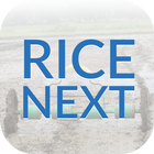 Rice Next Zeichen