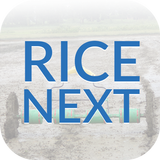 Rice Next icône