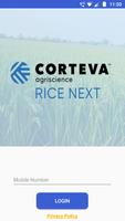 Rice Next 海报