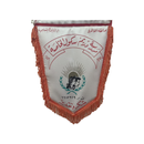 مدرسة دريم سكول الخاصة APK