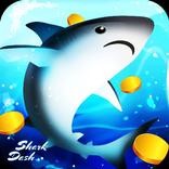 Shark Dash