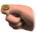 Coinflip