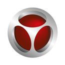 Detektor Roadview AI APK