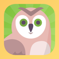 Animal flashcards with video