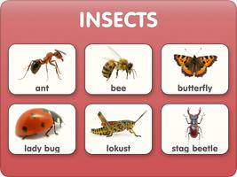 Animal flashcards with video screenshot 3