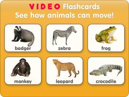 Animal flashcards with video-poster