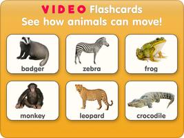 Animal flashcards with video पोस्टर